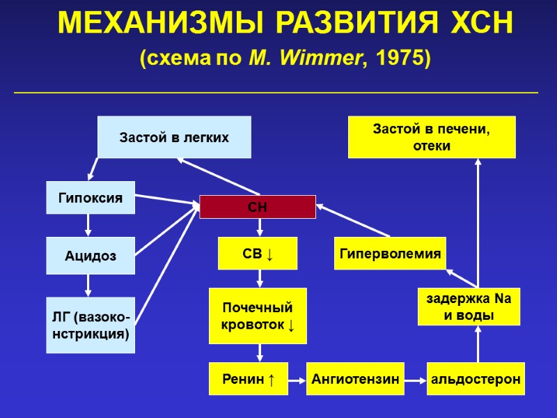 МЕХАНИЗМЫ РАЗВИТИЯ ХСН (схема по M. Wimmer, 1975)  Застой в легких Застой в